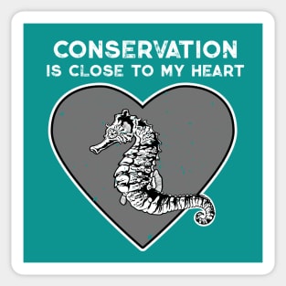 Seahorse Conservation Heart Sticker